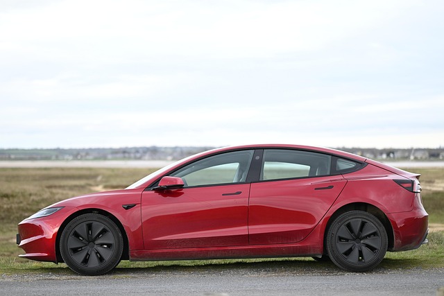 Erfaringer fra ejere: Derfor valgte vi en brugt tesla model y